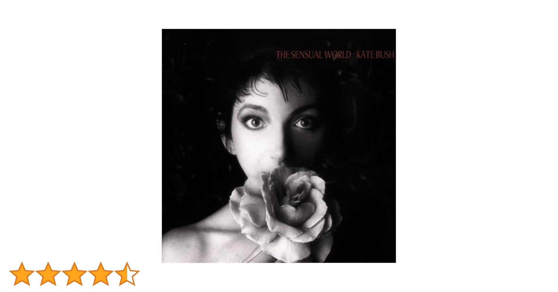 歌う木　ケイト•セレディ　絶版本 1661-2643-